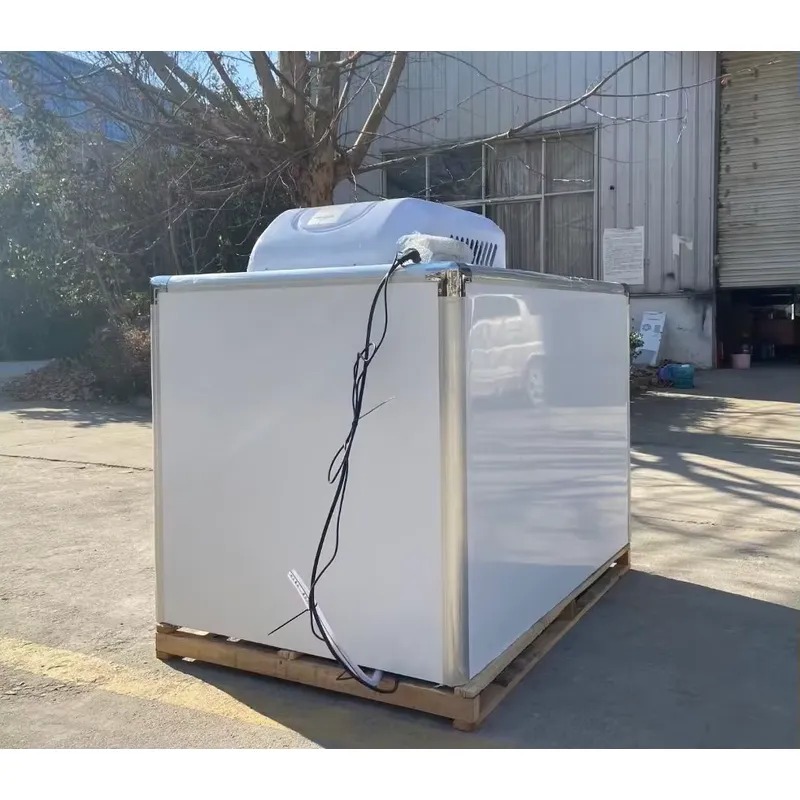 Heißer Verkauf: Dreirad-Kühlwa – Food Storage Freezer Bewertung und Preis