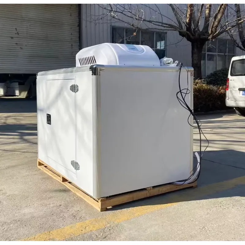 Heißer Verkauf: Dreirad-Kühlwa – Food Storage Freezer Bewertung und Preis