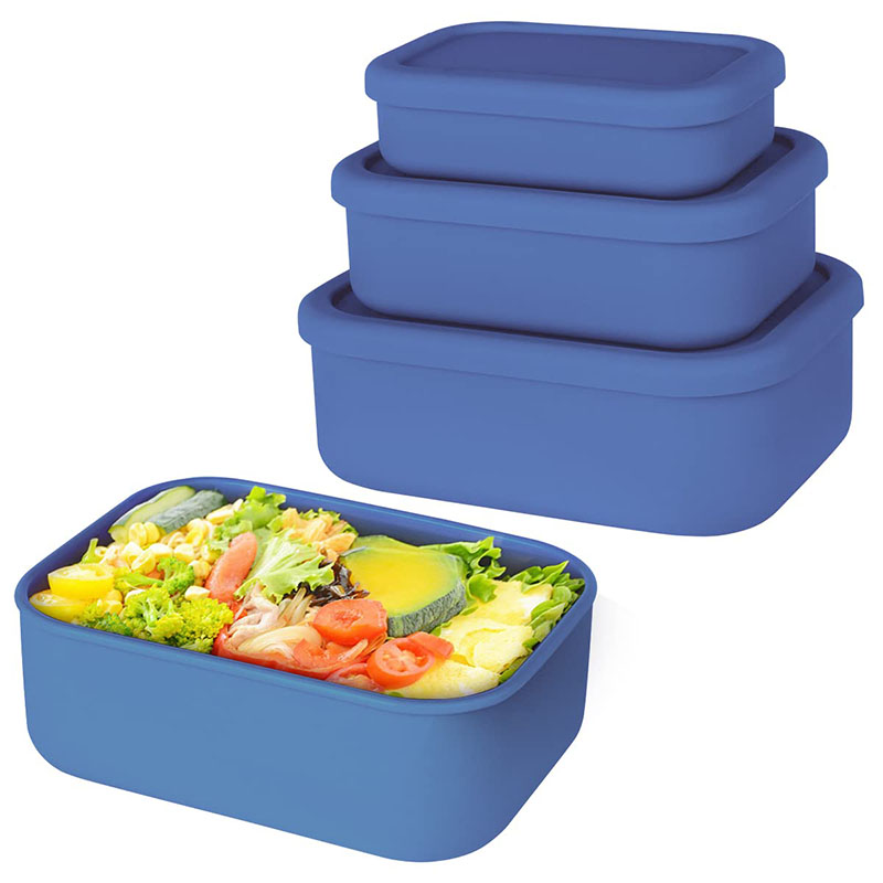 Auslaufsichere Bento-Lunchbox, – Storage Food Prep Bewertung und Preis