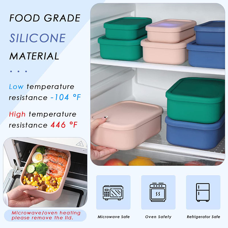 Auslaufsichere Bento-Lunchbox, – Storage Food Prep Bewertung und Preis