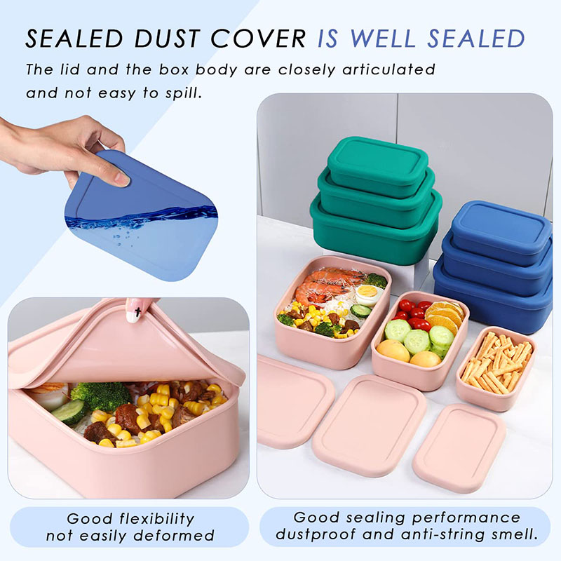Auslaufsichere Bento-Lunchbox, – Storage Food Prep Bewertung und Preis