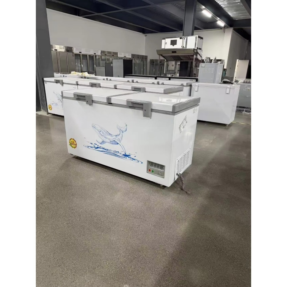Großhandel Maßgefertigte Horiz – Food Storage Freezer Bewertung und Preis